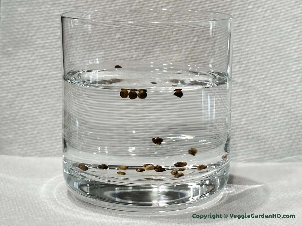 To check viability when you save seeds, do water test.