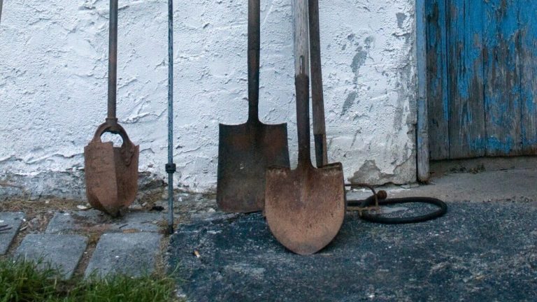 Dirty and rusty hand gardening tools are outside leaning against a wall.