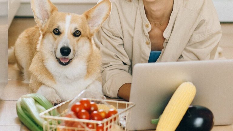 Cute dog on the floor with a basket of tomatoesm cellery and other vegetables in front.