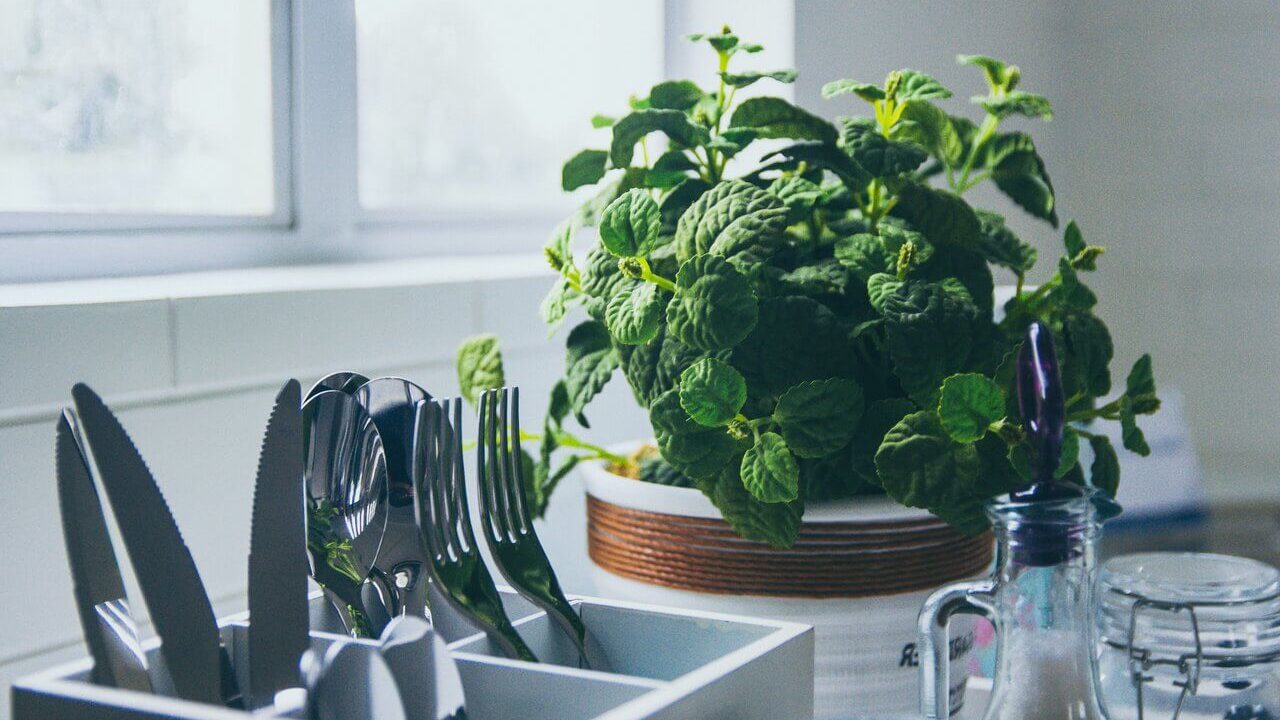 To grow herbs indoors, place them in a south-facing window in plenty of sunshine.