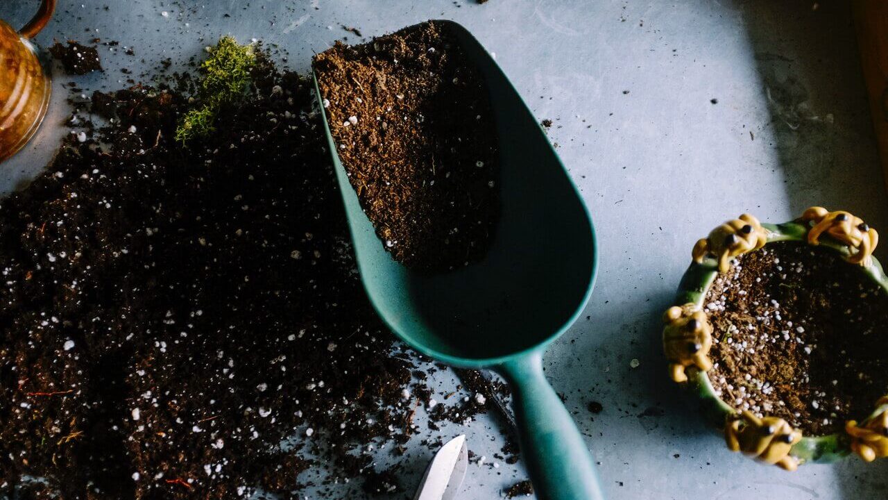To grow herbs indoors an important step is to prepare the correct soil mixture.