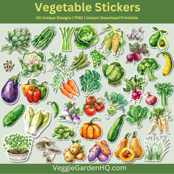 Vegetable Stickers