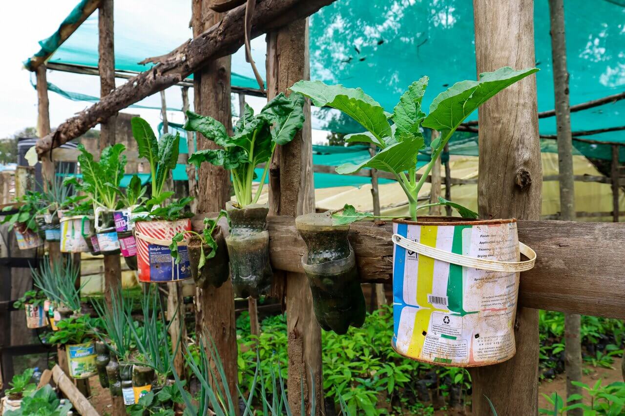 100+ Benefits When You Recycle Gardens