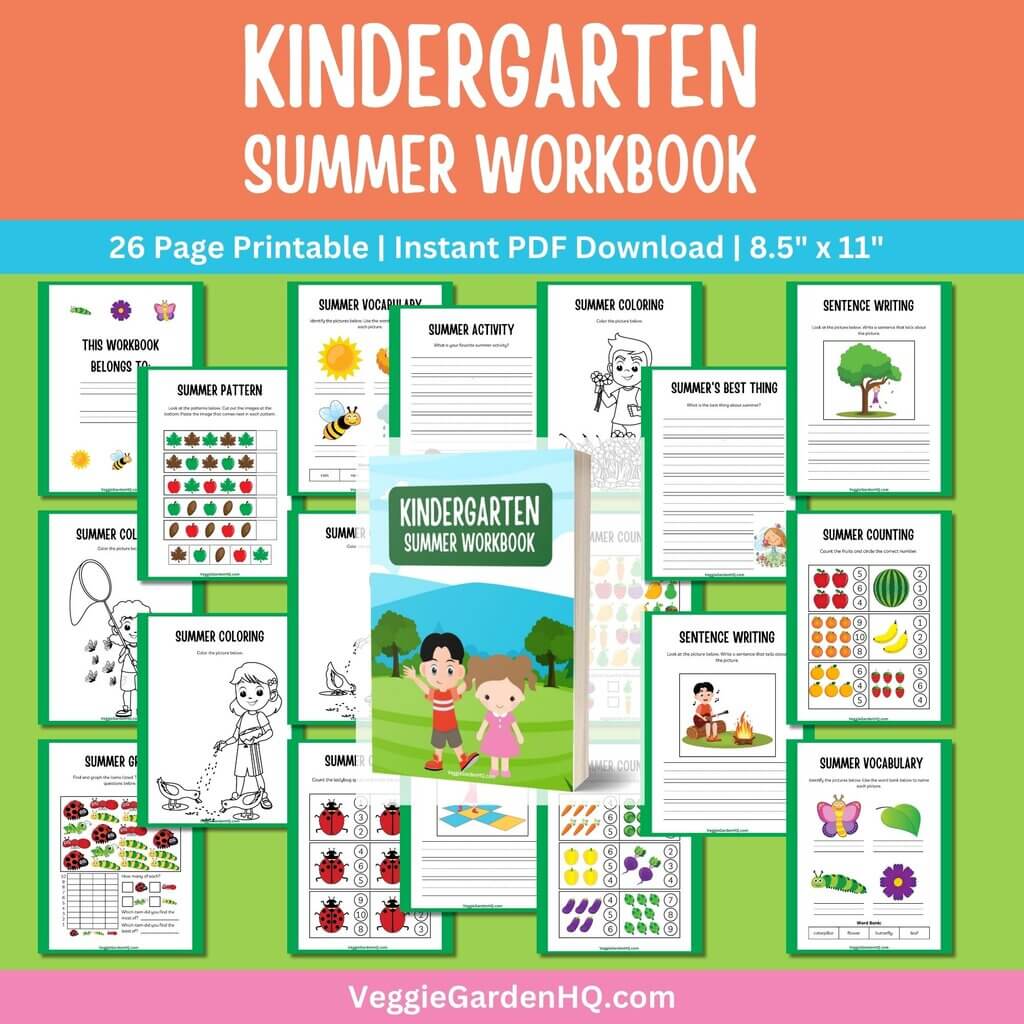 Kindergarten Summer Workbook helps to keep your child engaged and ahead of the learning curve.