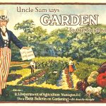 A Victory Garden provides food in times of conflict and during times of peace.