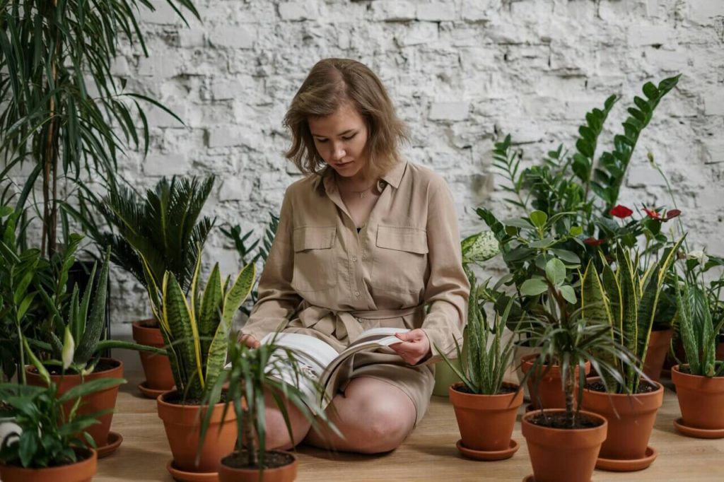 You know it’s nearly spring when those garden catalogs start piling up, tempting you to dig into another season of dirt, dreams, and amazing plant choices.