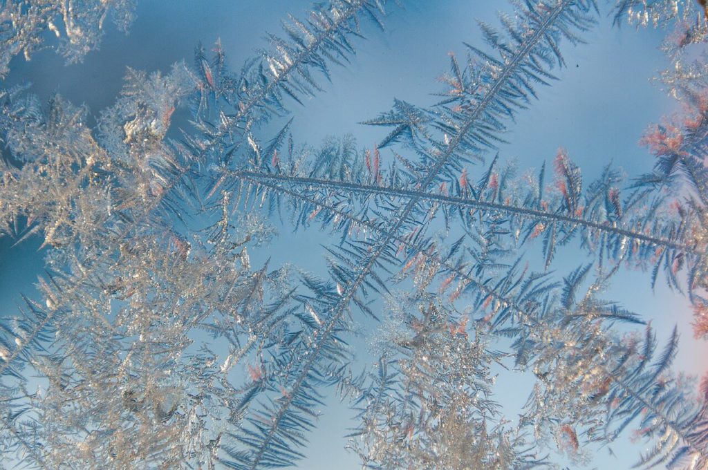 Winter gardening benefits are essential to creating a healthy and productive garden.