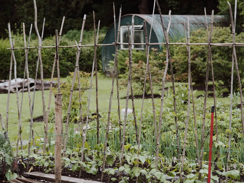 A small garden trellis can improve the health of a garden.