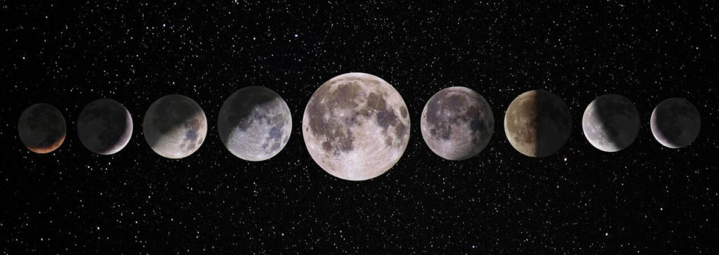 If you’re new to moon gardening, the first thing to understand is how the moon’s phases work.