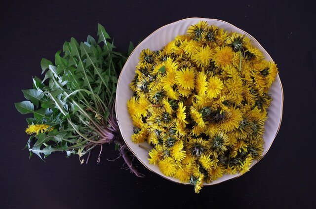 Dandelion is rich in antioxidants and natural compounds.